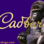 Cadbury's Gorilla Ad